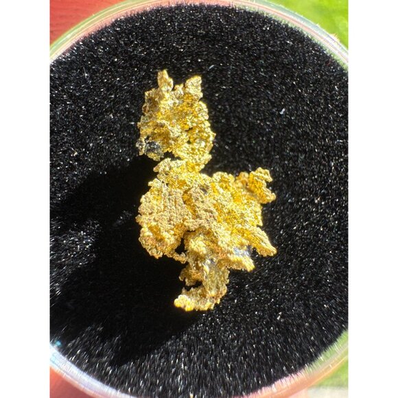 California Native Gold Crystal - 0.63 grams - Picture 3 of 5